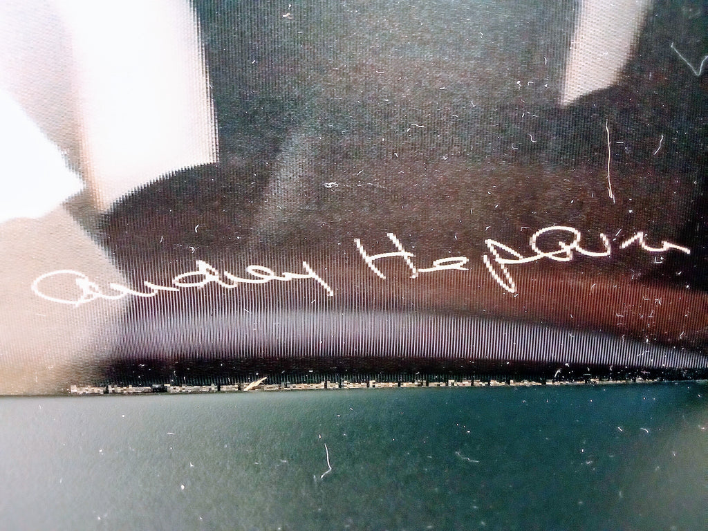 Audrey Hepburn Souvenirs Vintage Photo Portrait, Glam Wall Art Decor Package, 3D Piece for Office Accent - Signed