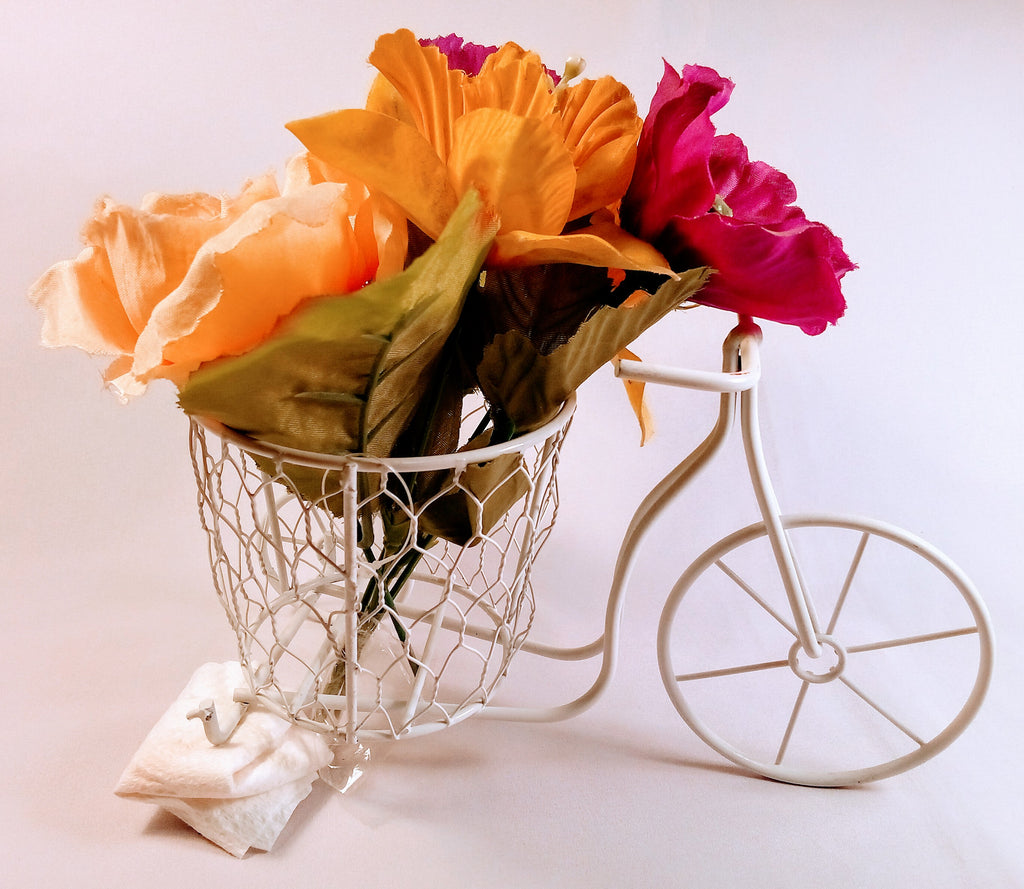 Vintage Inspired Metal Bicycle Planter, Perfect Gardening gift for Teachers snd Grandmas, Fun for Garden Lovers and Cycling Enthusiasts