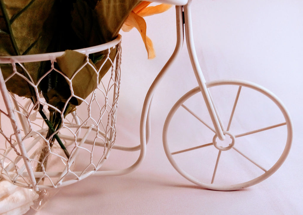 Vintage Inspired Metal Bicycle Planter, Perfect Gardening gift for Teachers snd Grandmas, Fun for Garden Lovers and Cycling Enthusiasts