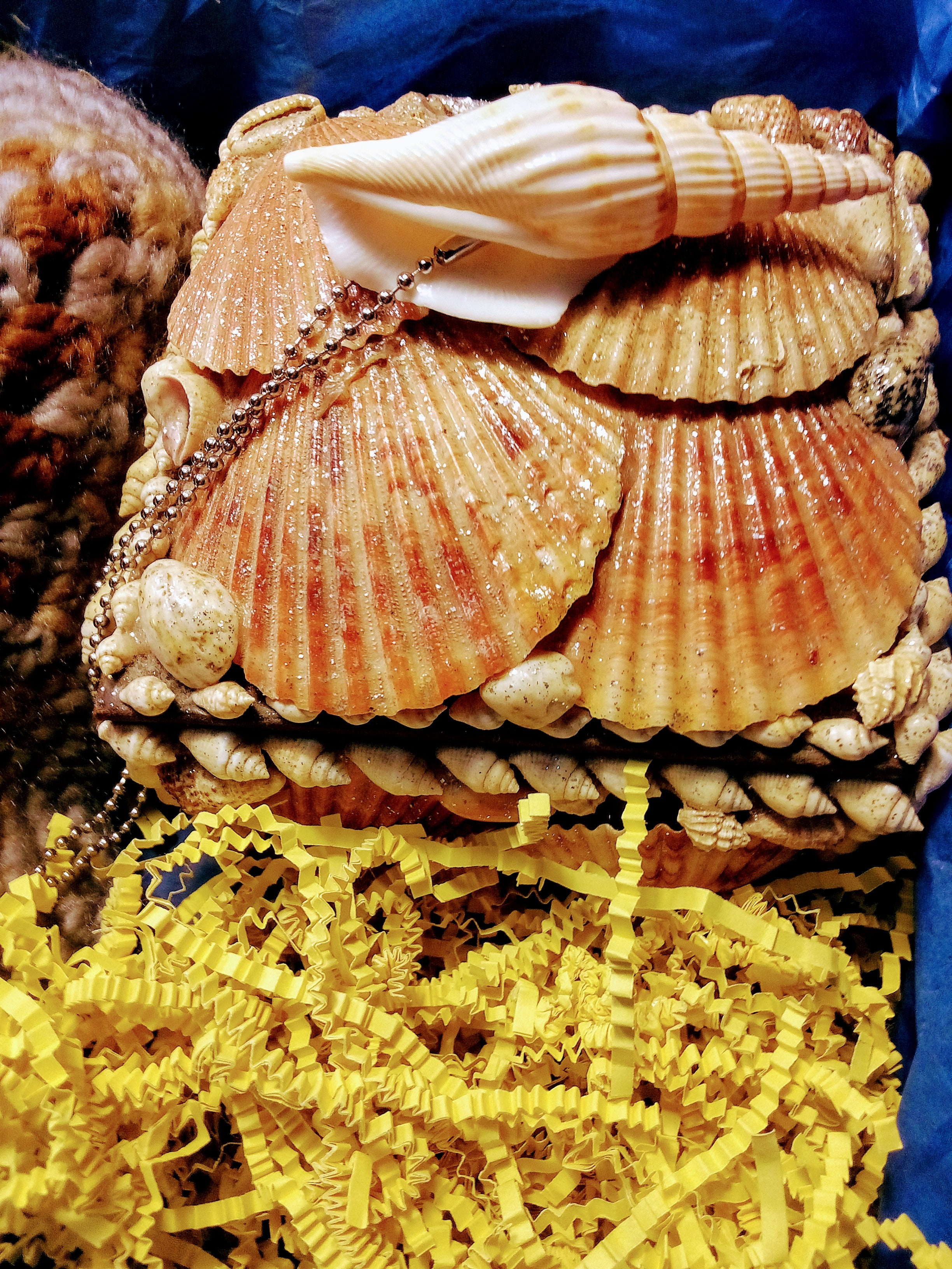 Gift Box: Knitted Winter Beanie Hat, Large Shell Jewelry Box with Glitter, Plus Casual Hawaiian Cone Necklace