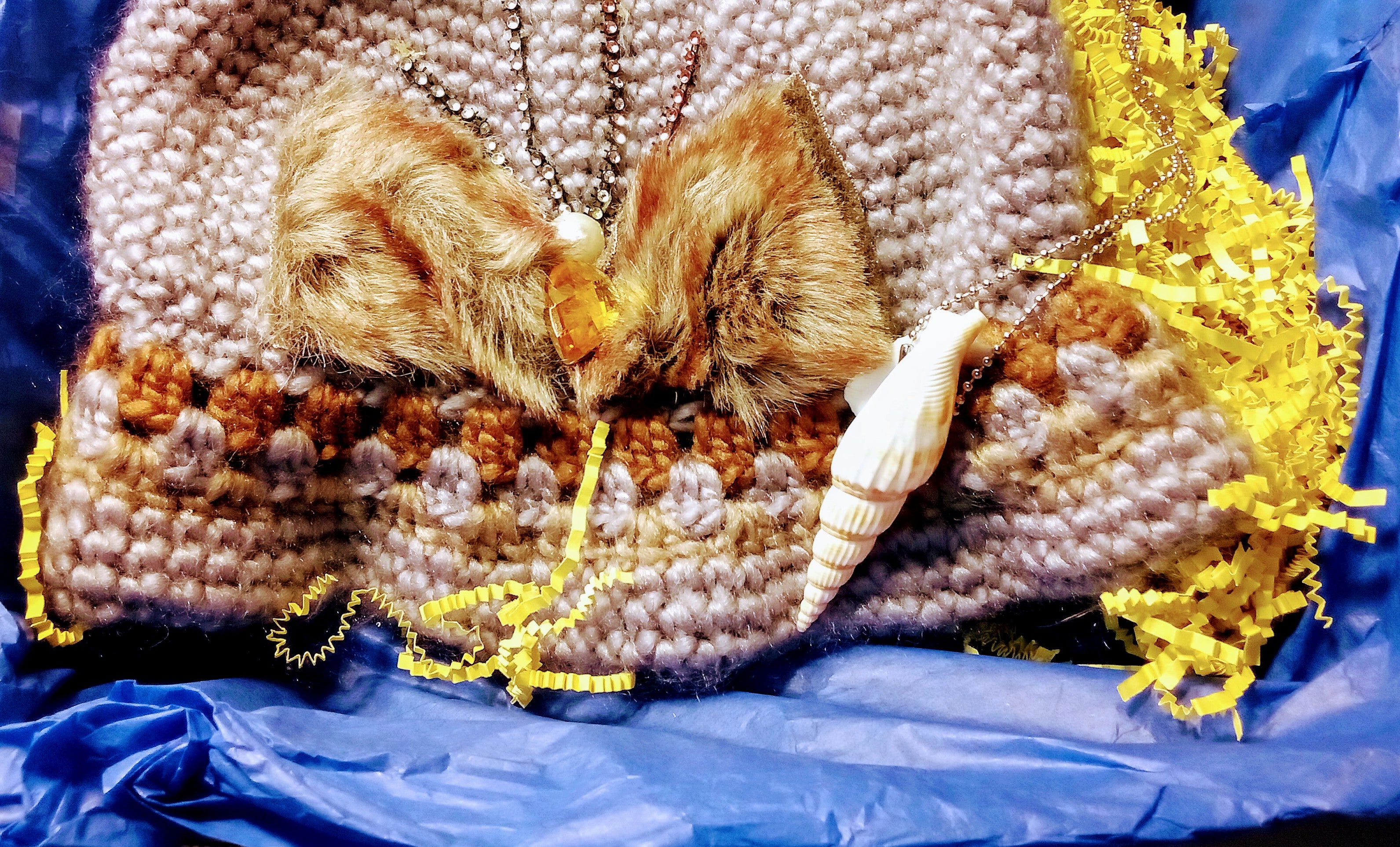 Gift Box: Knitted Winter Beanie Hat, Large Shell Jewelry Box with Glitter, Plus Casual Hawaiian Cone Necklace