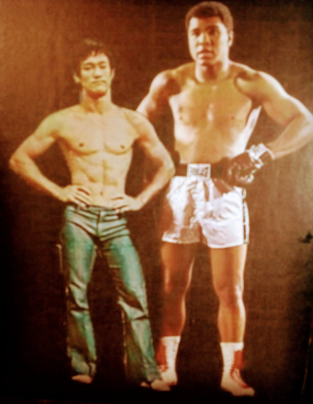 Muhammad Ali and Bruce Lee Art, Perfect Bar Decor Gift, Vintage Boxing and Kung Fu Unique Sports, Ali the Greatest, Bruce Martial Arts