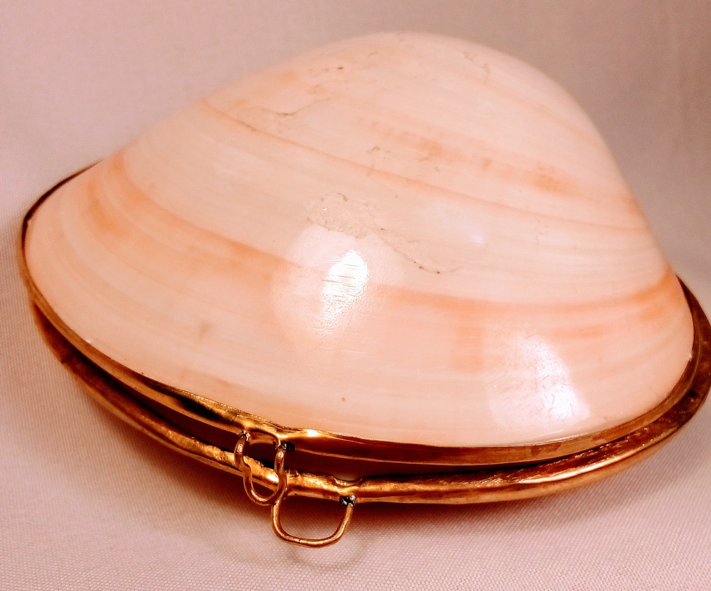 Seashell Jewelry Box for Jewelry Holder, Sunrise Shell Trinket Box. Cool Dish Tray Display, First Jewelry Box - Light Pink