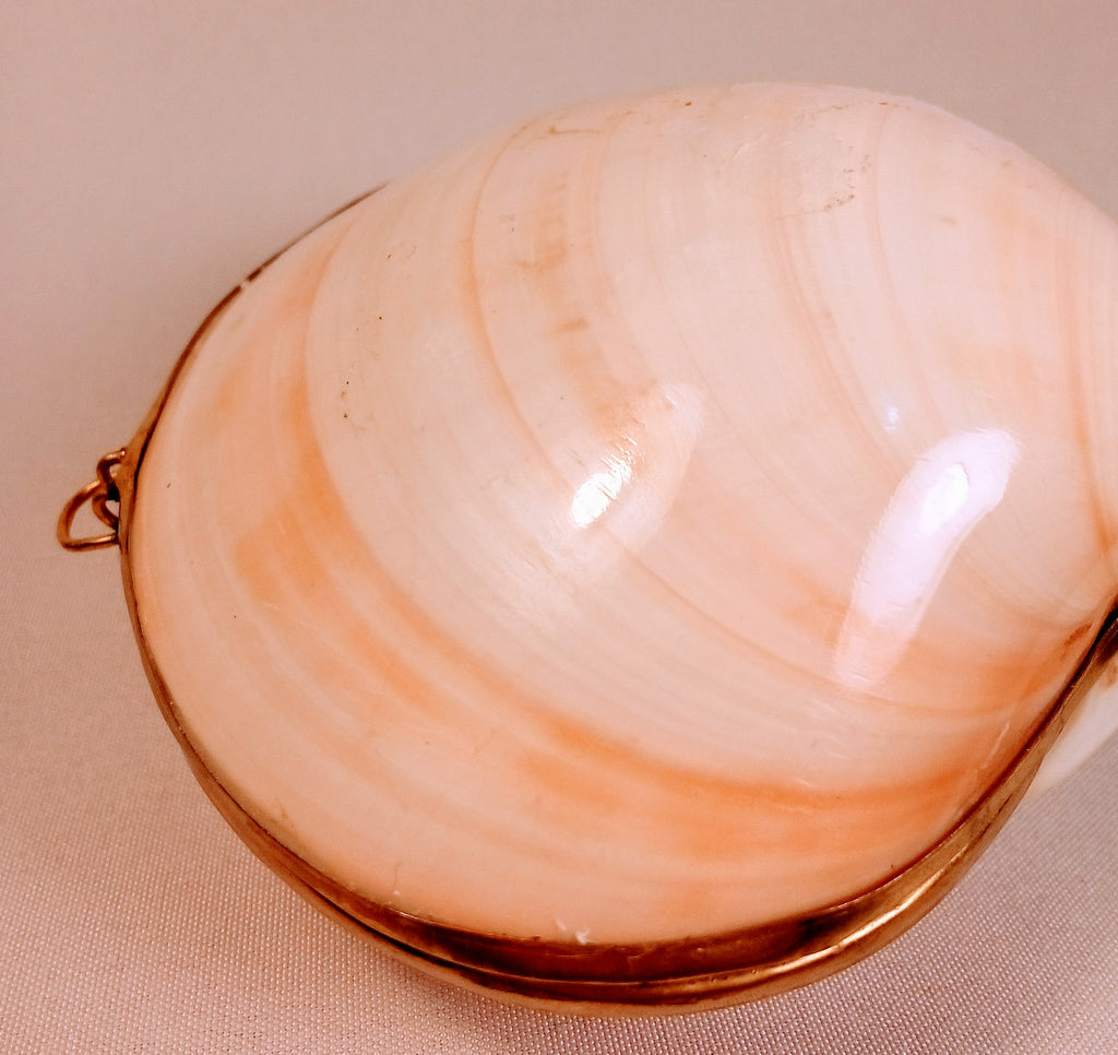 Seashell Jewelry Box for Jewelry Holder, Sunrise Shell Trinket Box. Cool Dish Tray Display, First Jewelry Box - Light Pink