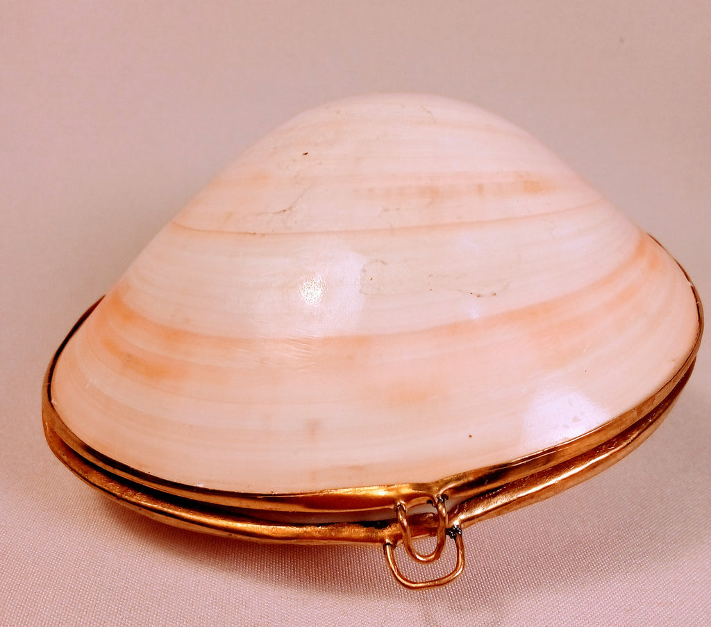 Seashell Jewelry Box for Jewelry Holder, Sunrise Shell Trinket Box. Cool Dish Tray Display, First Jewelry Box - Light Pink