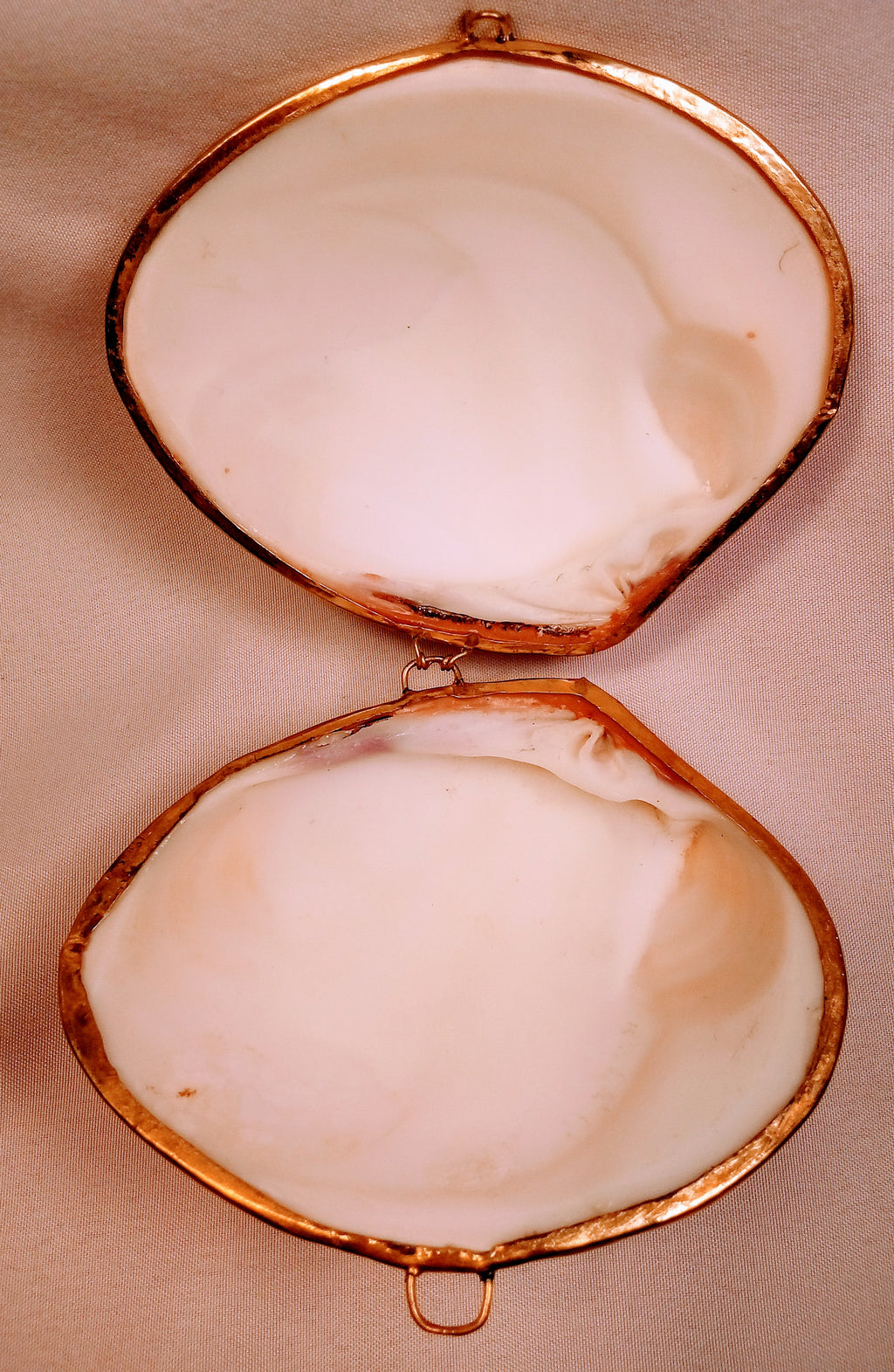 Seashell Jewelry Box for Jewelry Holder, Sunrise Shell Trinket Box. Cool Dish Tray Display, First Jewelry Box - Light Pink