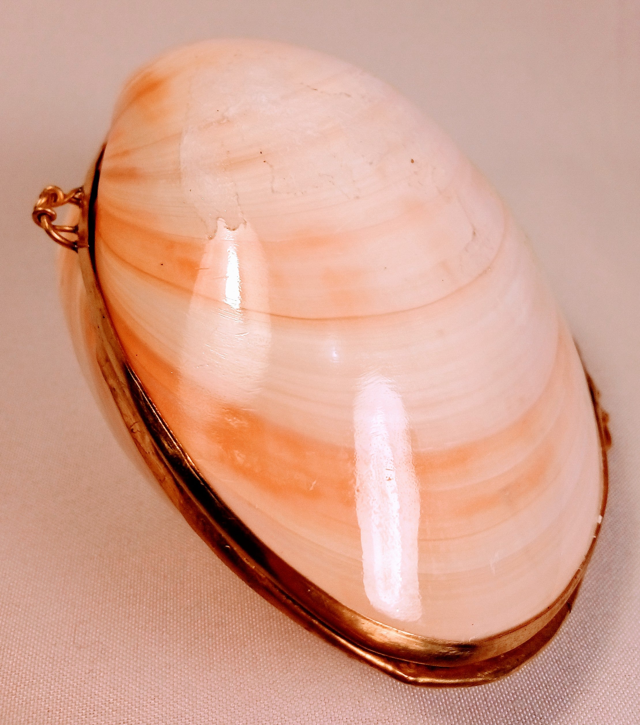 Seashell Jewelry Box for Jewelry Holder, Sunrise Shell Trinket Box. Cool Dish Tray Display, First Jewelry Box - Light Pink