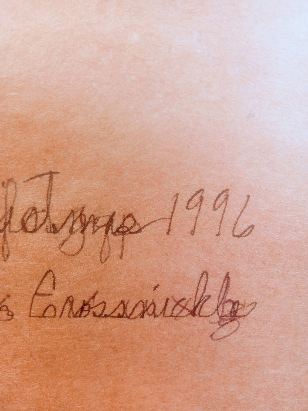 Vintage Genesis Cross Stitch, Whimsical Noah's Ark Wall Decor, Framed Art Embroidery Classic, Wall Hanging Cherished 1996