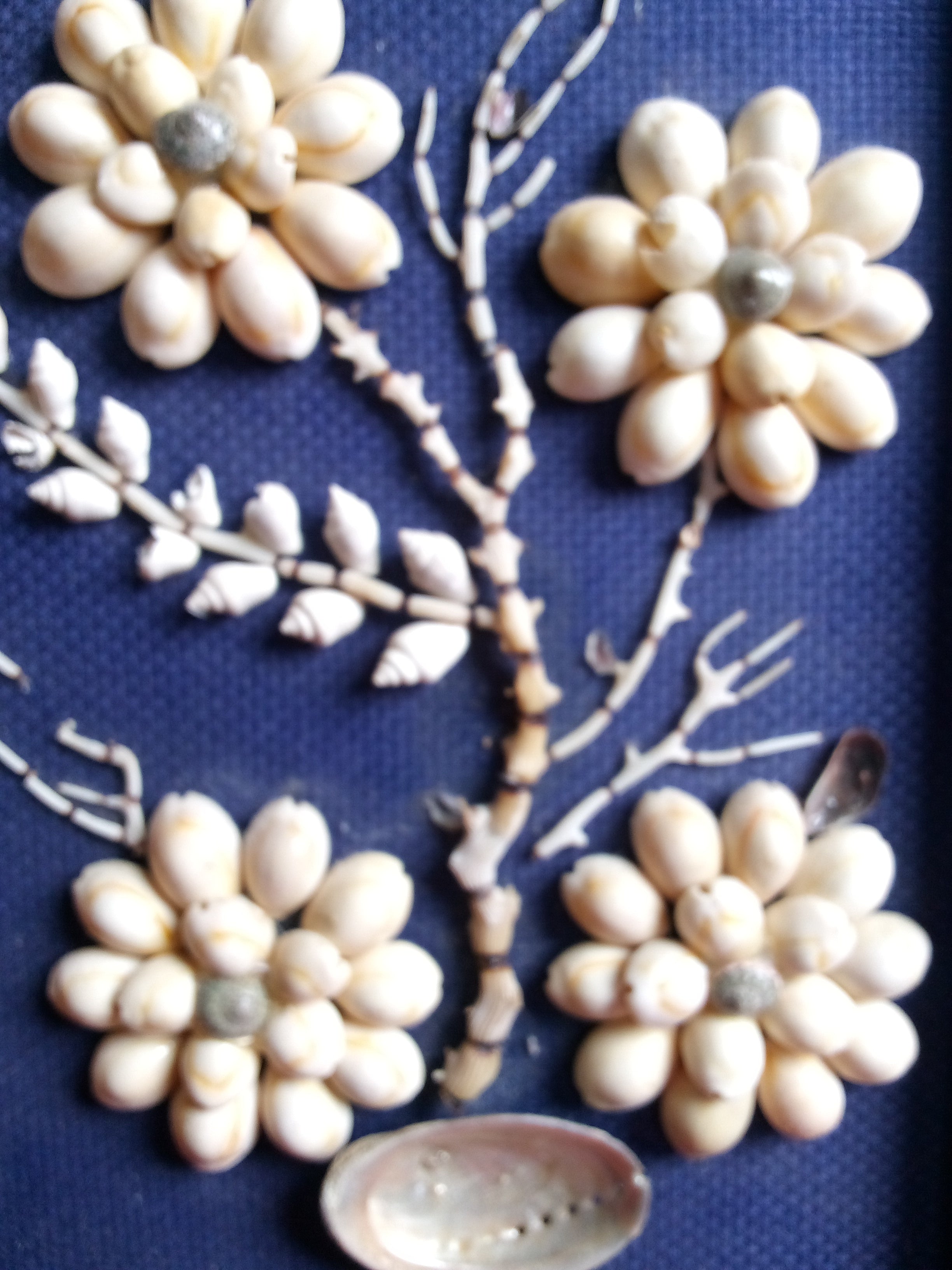 Christmas Gift Sets - Glam Seashell Gift Set of 3: Vintage Seashell Framed Floral Wall Art + Shell  Necklace AND Shell Jewelry Box