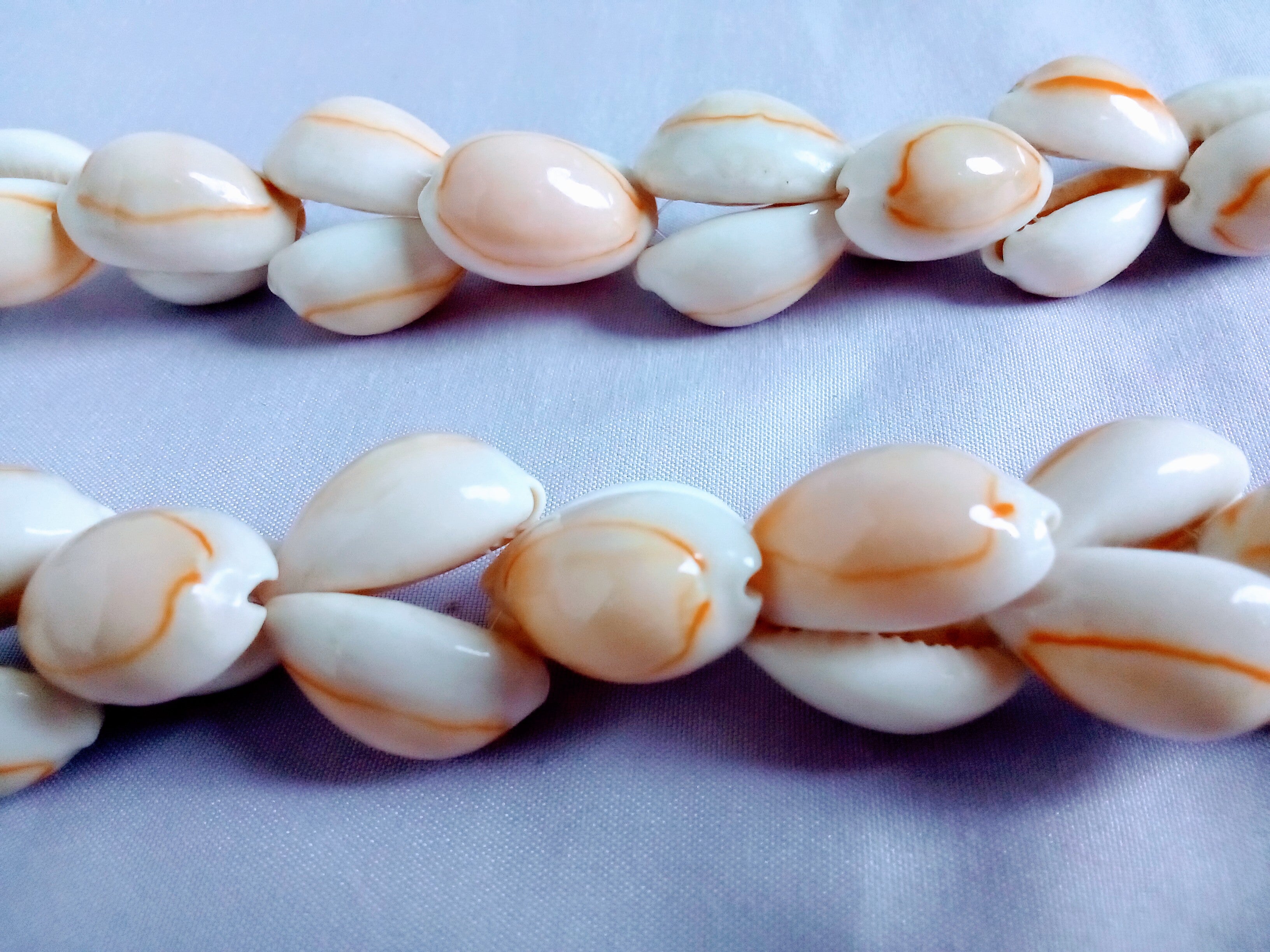 Christmas Gift Set of 2: Hawaiian Shell Double Beads Necklace Beachy Gift AND Sparkle Jewelry Box Elegant Keepsake