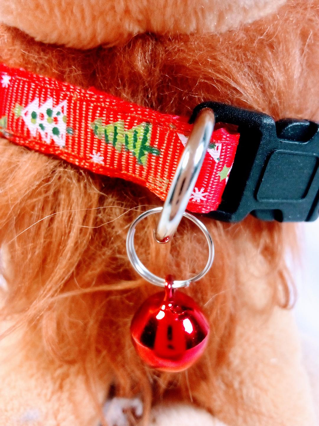 Festive  Pet Collar, Jingle Bell for Dogs and Cats, Holiday Cheer Vibrant Red and Green, Jolly Fun Detail