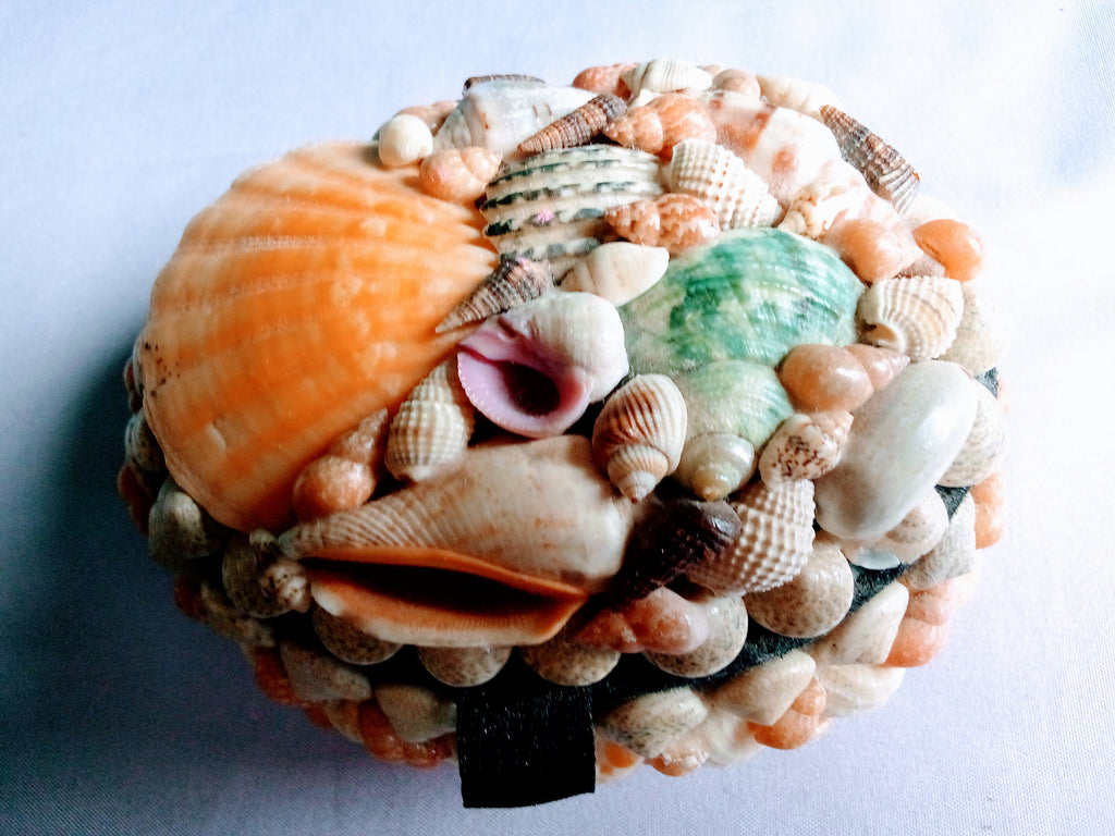 Christmas Gift Sets -Classic Fashion Pearls and Seashells, Gift Set of 3 - Great Christmas Gift Set:  Elegant Pearl Necklace, Jumbo Pearl Bracelet AND Oval Jewelry Box