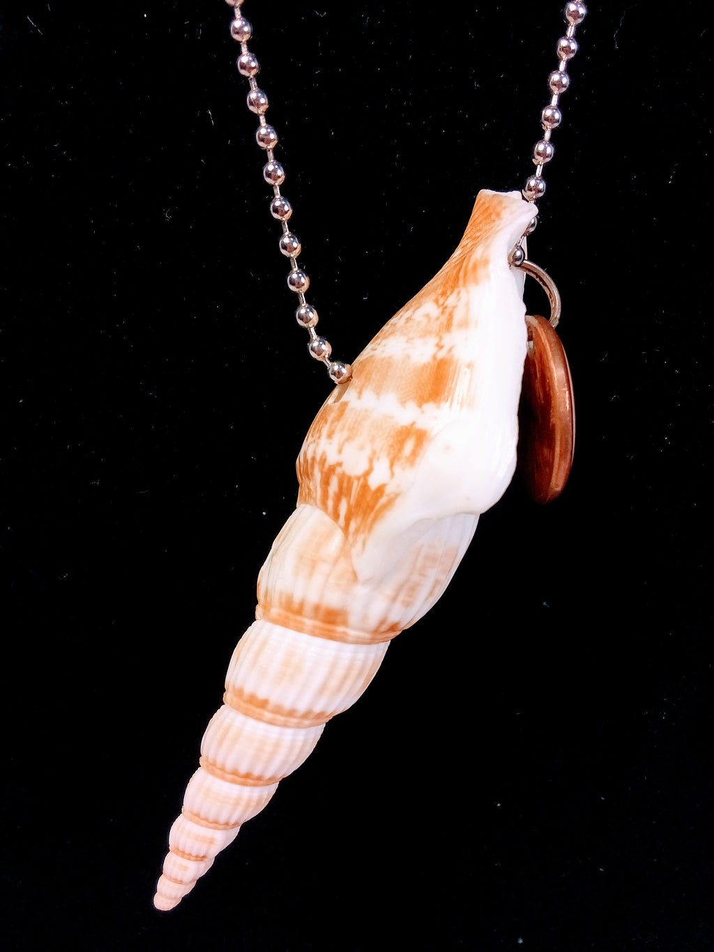 Christmas Gift Sets - Glam Seashell Gift Set of 3: Vintage Seashell Framed Floral Wall Art + Shell  Necklace AND Shell Jewelry Box